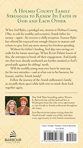 The Amish Millionaire: A Holmes County Saga