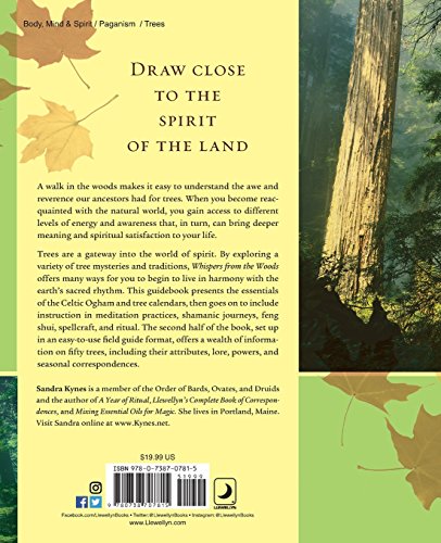 Whispers from the Woods: The Lore & Magic of Trees by Kynes,