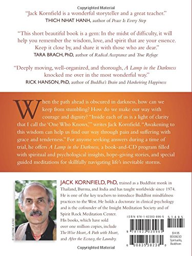 A Lamp in the Darkness: Illuminating the Path Through Difficult Times
