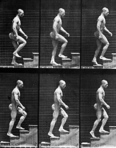 The Human Figure in Motion