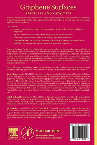 Graphene Surfaces: Particles and Catalysts (Volume 27) (Interface Science and Technology, Volume 27)