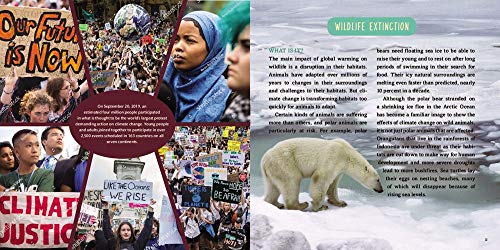 Climate Action: What Happened and What We Can Do