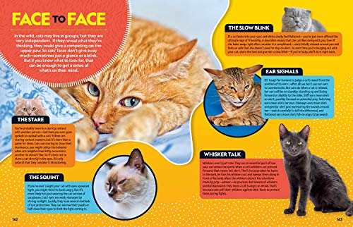 Cat Breed Guide: A complete reference to your purr-fect best friend