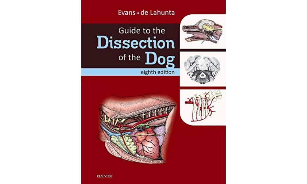 Guide to the Dissection of the Dog