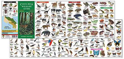 Costa Rica Wildlife Guide (Laminated Foldout Pocket Field Guide)