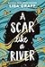 A Scar like a River