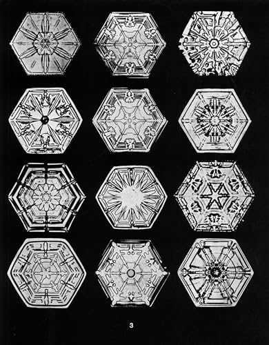 Snowflakes in Photographs (Dover Pictorial Archive) by W. A.