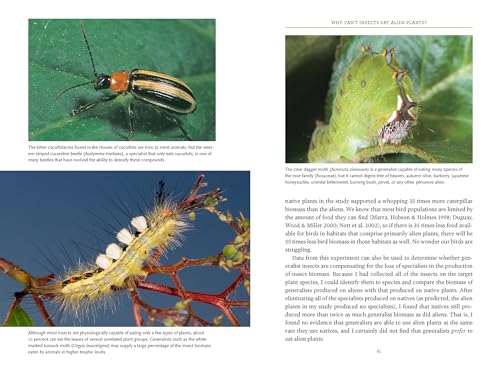 Bringing Nature Home: How You Can Sustain Wildlife with Native Plants, Updated and Expanded