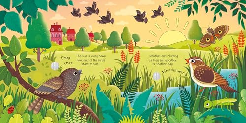 Bird Sounds: An Interactive Animal Activity Book Featuring Realistic Cuckoo and Duckling Calls (Sound Books)