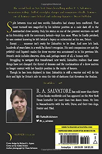 Boundless: A Drizzt Novel (Generations, 2) — back cover