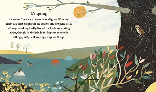 The Squirrels' Busy Year: A First Science Storybook