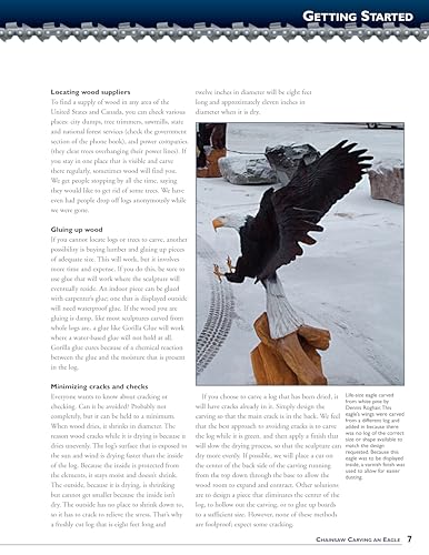 Chainsaw Carving an Eagle: A Complete Step-by-Step Guide (Fox Chapel Publishing) Beginner-Friendly Reference, Easy-to-Follow Instructions, 4 Projects, Types of Cuts, Finishing, Wood Selection, & More