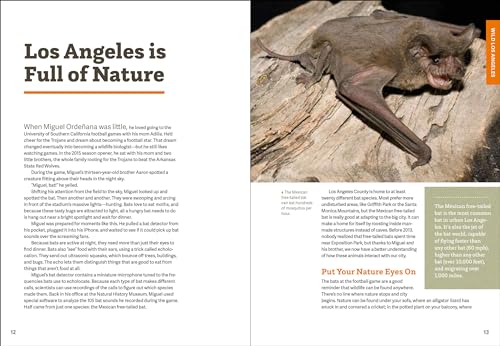 Wild LA: Explore the Amazing Nature in and Around Los Angeles (Wild Series)