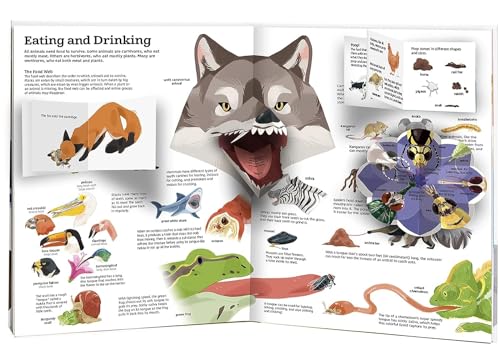 The Ultimate Book of Animals by Anne-Sophie Baumann