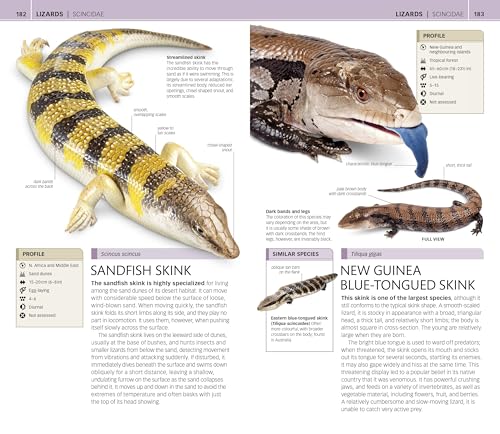 Nature Guide: Snakes and Other Reptiles and Amphibians: The World in Your Hands (DK Nature Guides)
