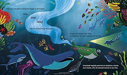 Grandude's Green Submarine by Paul McCartney