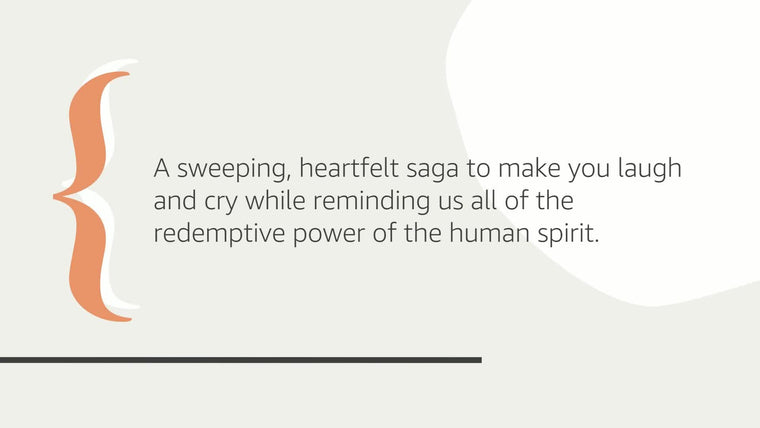 The Heart's Invisible Furies: A Novel — back cover