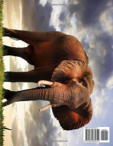 Elephant Picture Book - Elephant Photography: 100+ Amazing Pictures and Photos in this fantastic Elephant Photo Book (Elephant Photography Book and Elephant Picture Books)