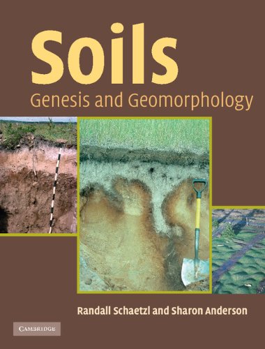 Soils: Genesis and Geomorphology by Schaetzl, Randall J.