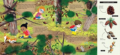 Look What I Found in the Woods