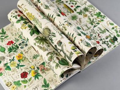 Flora: Gift & Creative Paper Book Vol.85 (Multilingual Edition) (English, Spanish, French and German Edition)