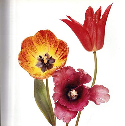 Flowers by Irving Penn (Hardcover)