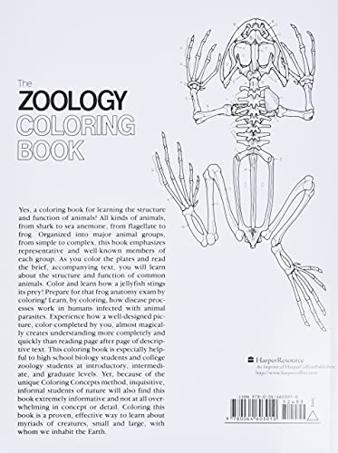 The Zoology Coloring Book