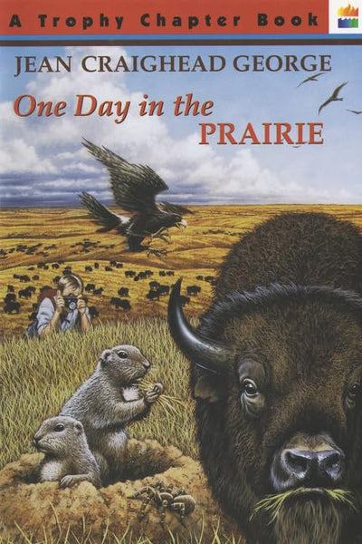 One Day in the Prairie (Trophy Chapter Book)