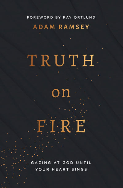 Truth On Fire: Gazing at God Until Your Heart Sings (Engage your mind and emotions in your walk with God)