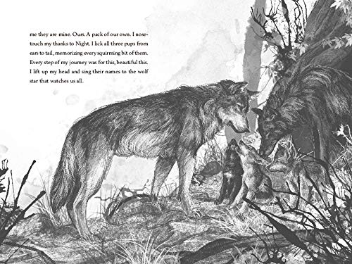 A Wolf Called Wander: A Gripping Animal Survival Story About a Young Wolf Seeking Home in the Mountains (A Voice of the Wilderness Novel)