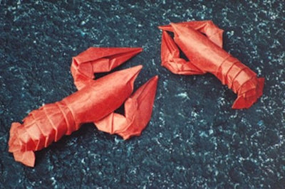 Origami Art: 15 Exquisite Folded Paper Designs from the Origamido Studio: Intermediate and Advanced Projects: Origami Book with 15 Projects