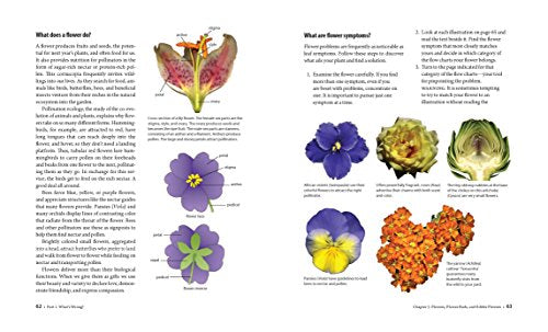 What's Wrong With My Plant? (And How Do I Fix It?): A Visual Guide to Easy Diagnosis and Organic Remedies (Whats Wrong Series)