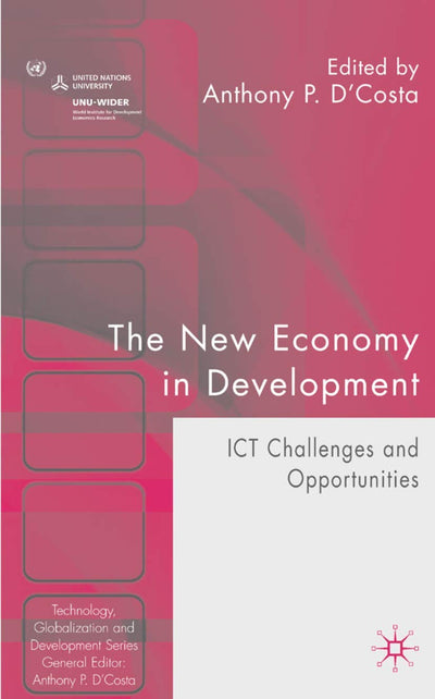 The New Economy in Development: ICT Challenges and Opportunities (Technology, Globalization and Development)