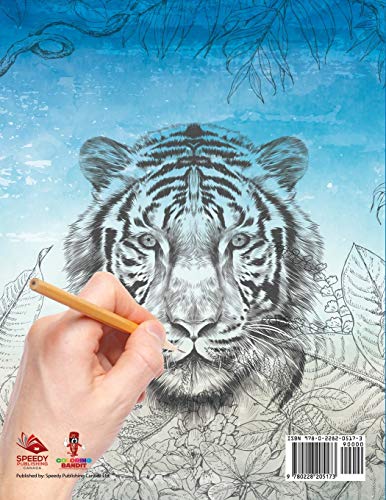 Jungle Cats : Coloring Book for Adults