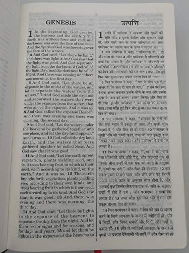 English - Hindi Holy Bible / ESV - Hindi O.V. Re-Edited / Leather-bound, golden page edges in protective box - Color maps / BSI 10R 0056