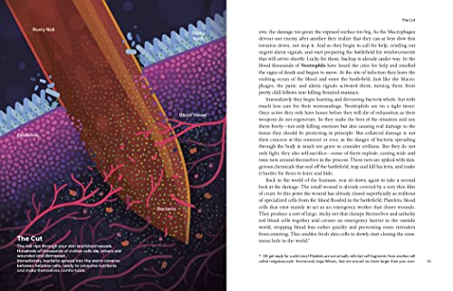 Immune: A Journey into the Mysterious System That Keeps You