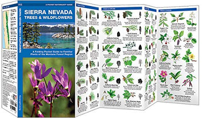 Sierra Nevada Trees & Wildflowers: A Folding Pocket Guide to Familiar Plants of the Montane Forest Region (Wildlife and Nature Identification)