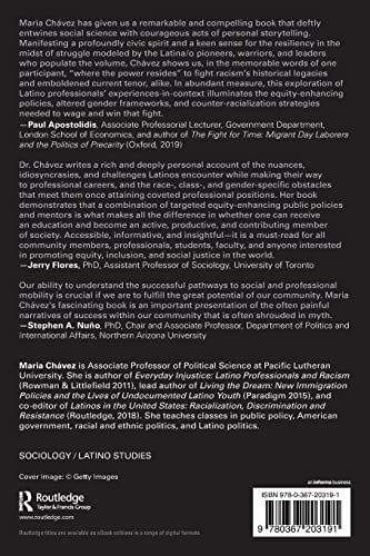 Latino Professionals in America: Testimonios of Policy, Perseverance, and Success