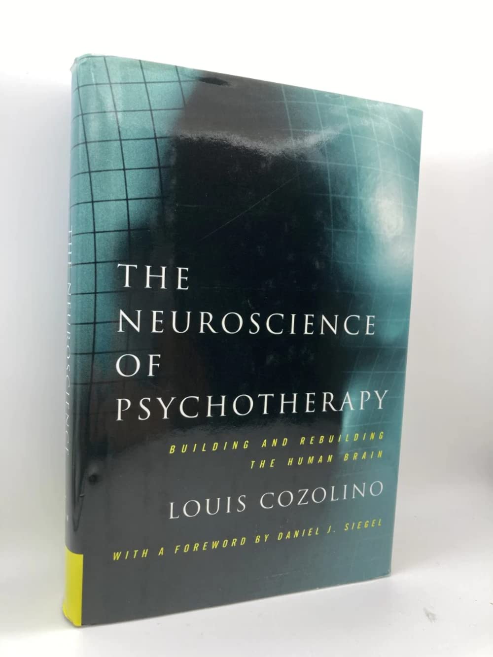 The Neuroscience of Psychotherapy: Building and Rebuilding the Human Brain (Norton Series on Interpersonal Neurobiology)