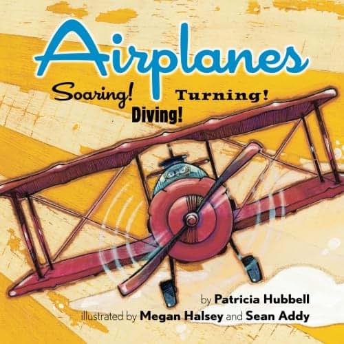 Airplanes: Soaring! Diving! Turning!