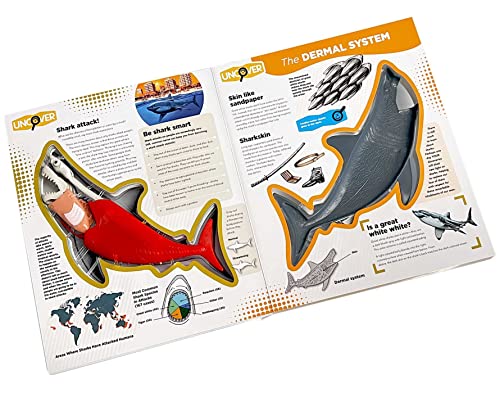 Uncover a Shark by David George Gordon
