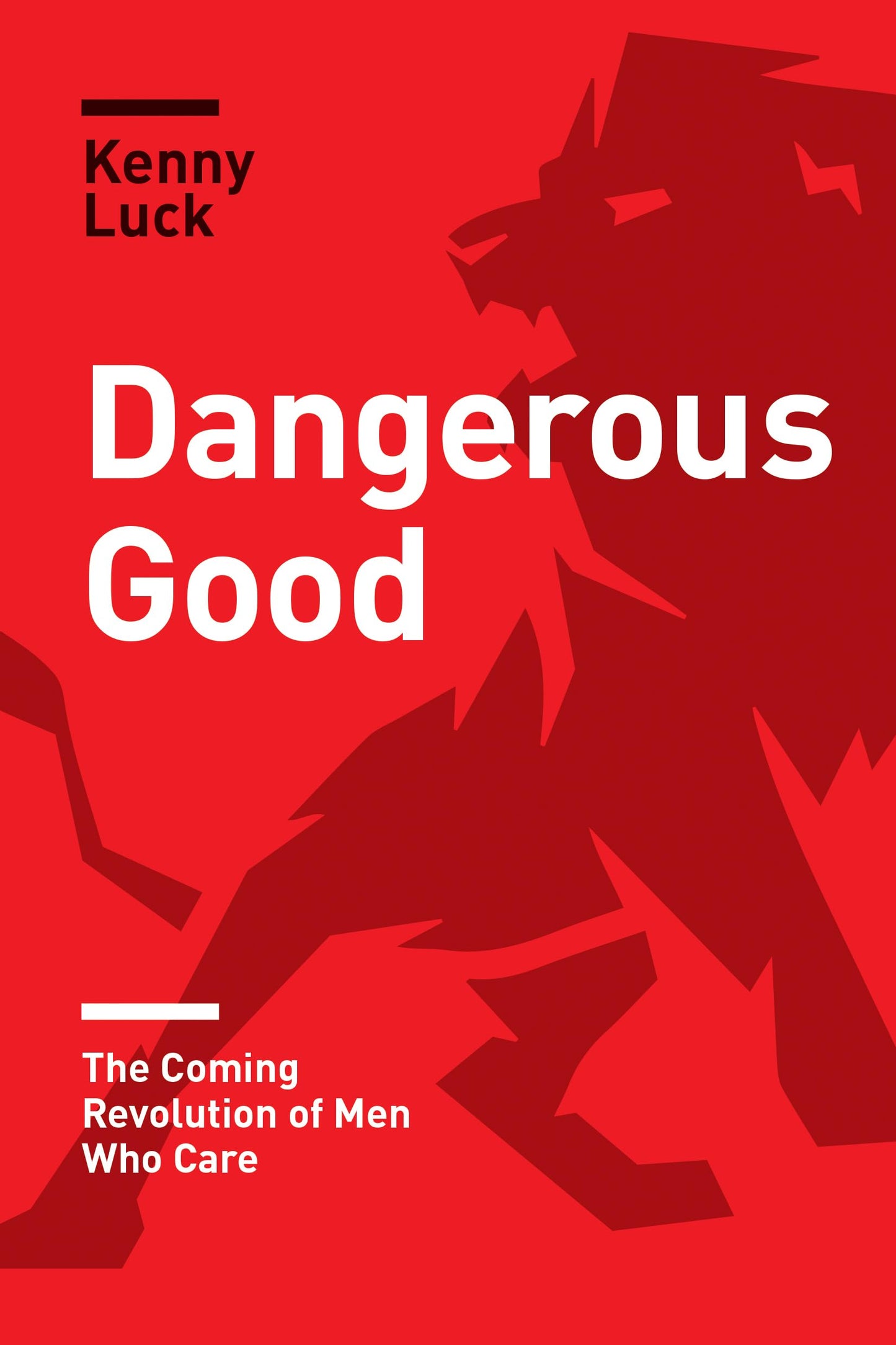 Dangerous Good: The Coming Revolution of Men Who Care (Rise of Guys)