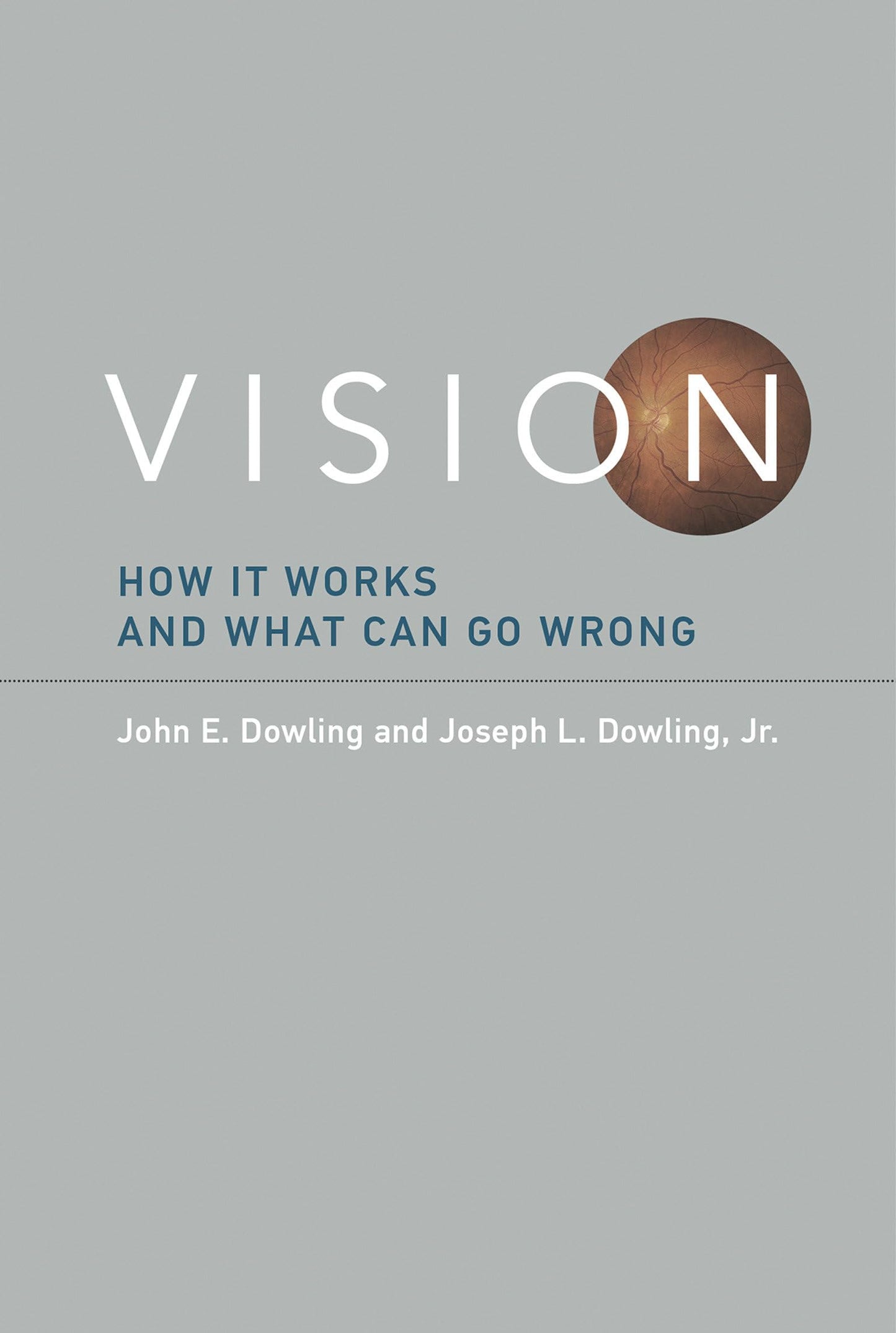 Vision: How It Works and What Can Go Wrong (Mit Press) by Do
