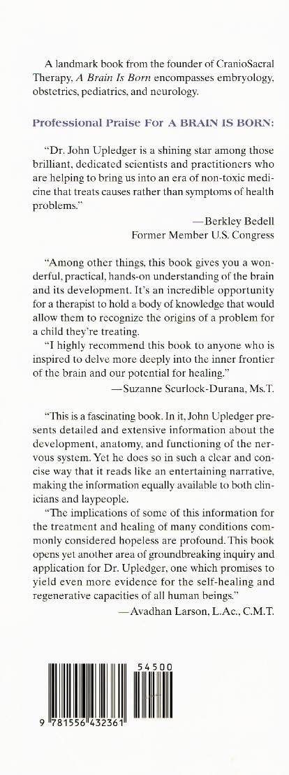A Brain Is Born: Exploring the Birth and Development of the Central Nervous System