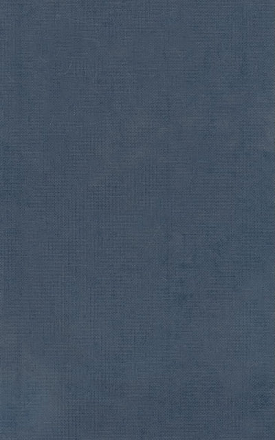 Iliad, Books 13-24 (Oxford Classical Texts: Homeri Opera, Vol. 2)