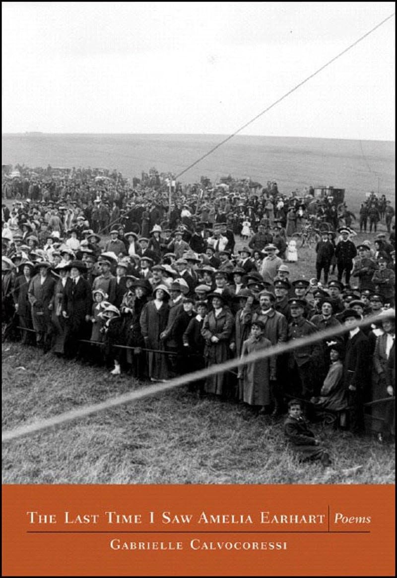 The last Time I Saw Amelia Earhart: Poems