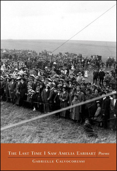 The last Time I Saw Amelia Earhart: Poems