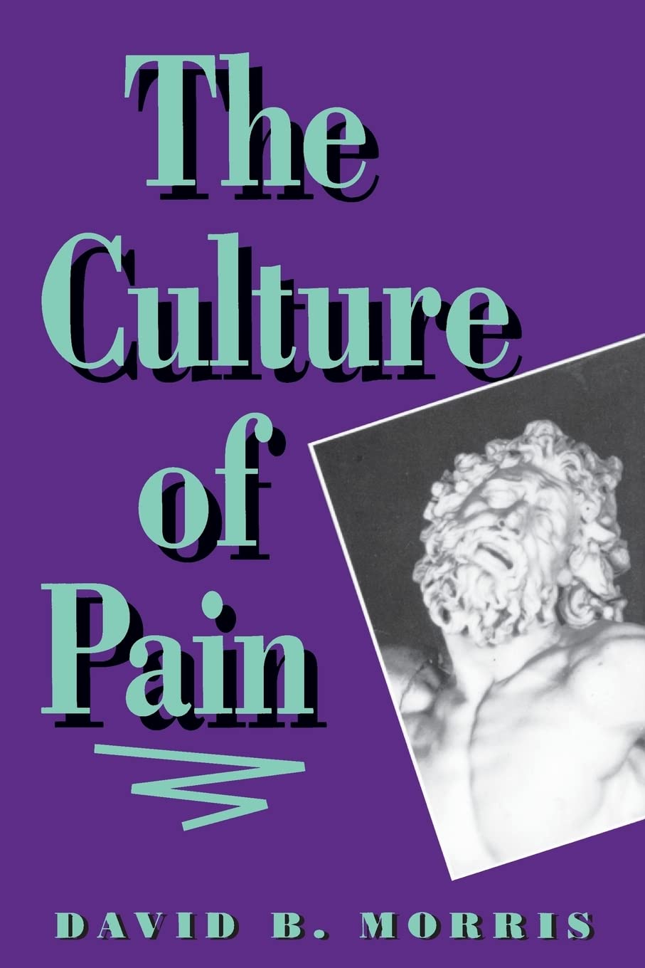 The Culture of Pain
