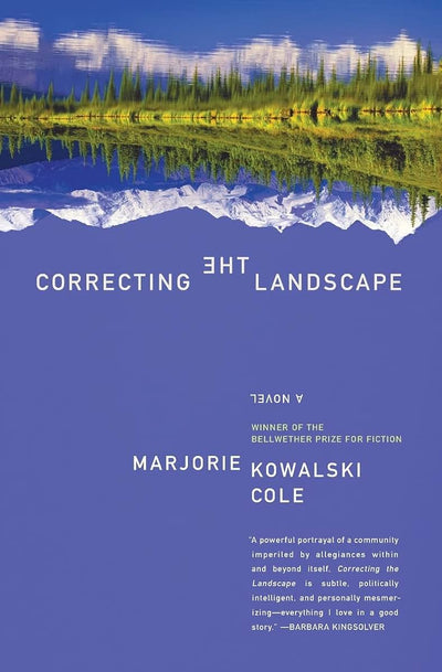 Correcting the Landscape: A Novel