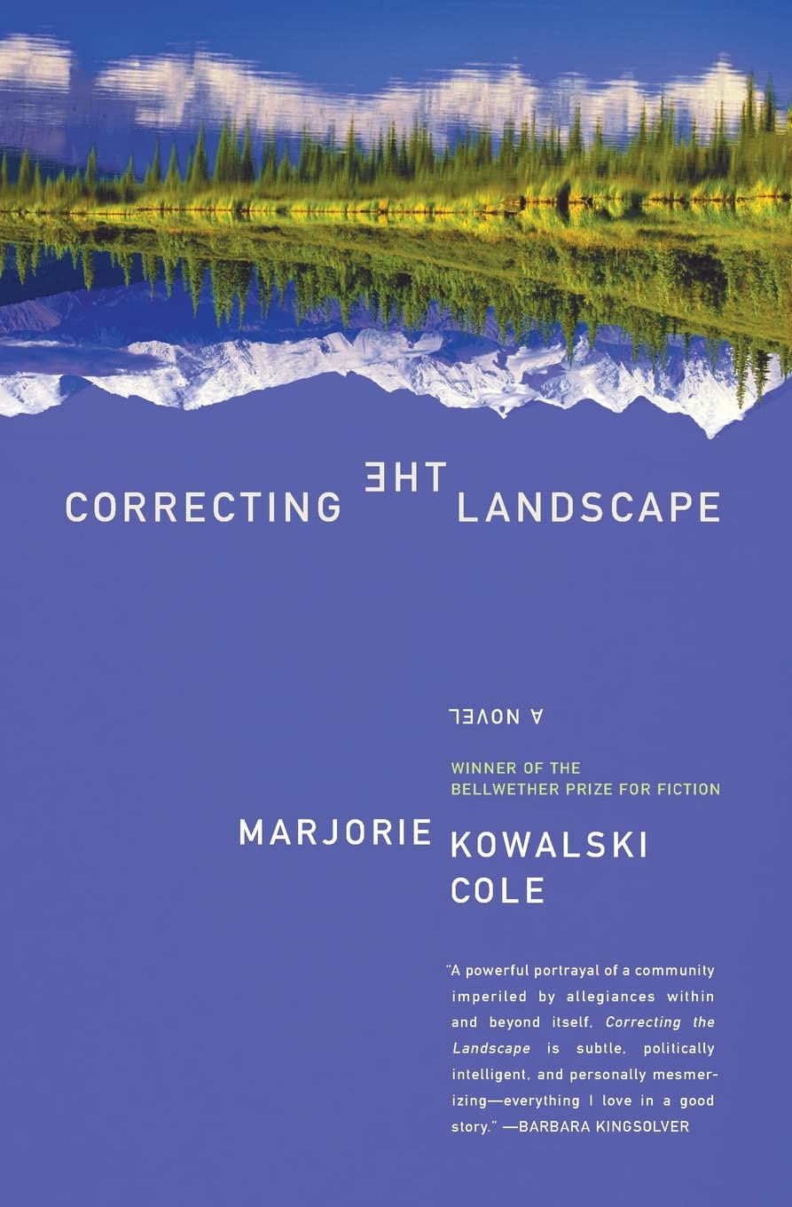 Correcting the Landscape: A Novel
